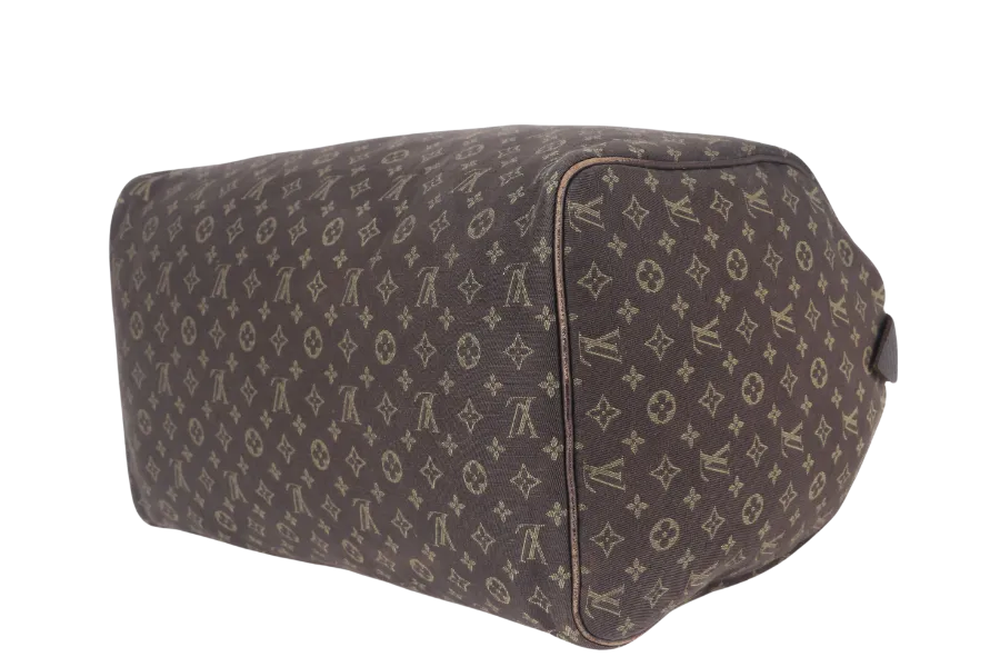 LOUIS VUITTON SPEEDY 30 (M95224) BROWN MINI LIN GOLD HARDWARE WITH DUST COVER